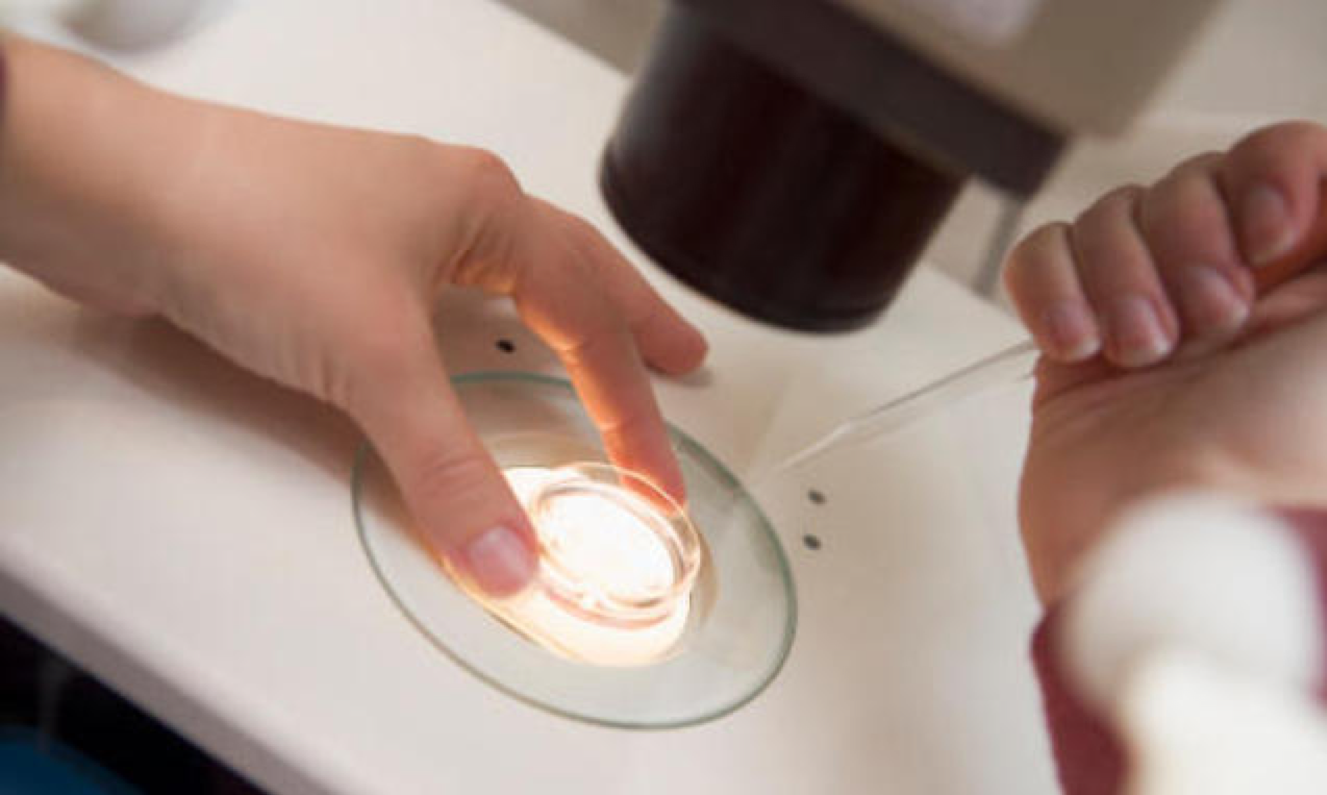 Congelare gli ovociti: un'assicurazione per le future mamme